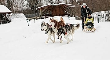 Фотоотчет с &quot;Дня Святого Валентина&quot; 2017