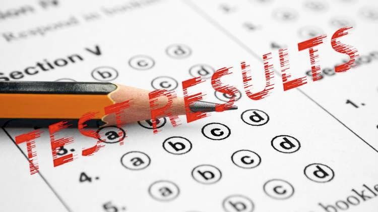 Результаты предварительного тестирования в формате экзамена Cambridge Hindustani Test
